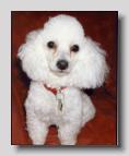 Scan10047